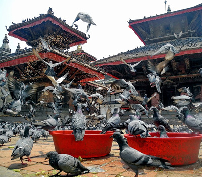 Kathmandu Dhulikhel Pokhara Tour
